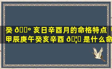 癸 🐺 亥日辛酉月的命格特点「甲辰庚午癸亥辛酉 🦊 是什么命格呢」